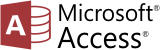 MS Access Consulting Services