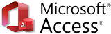 MS Access consulting services