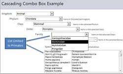 Microsoft Access Cascading Combo Boxes