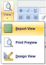 Using Report View in Microsoft Access