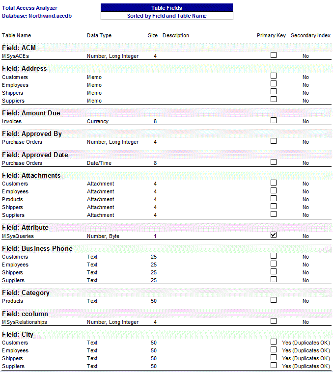 Microsoft Access Table Field Definitions documentation report sorted by field name