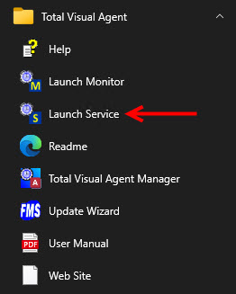 Launch the Total Visual Agent Service