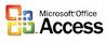 MS Access consulting services