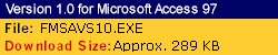 FMS Access Virus Scanner - File Information