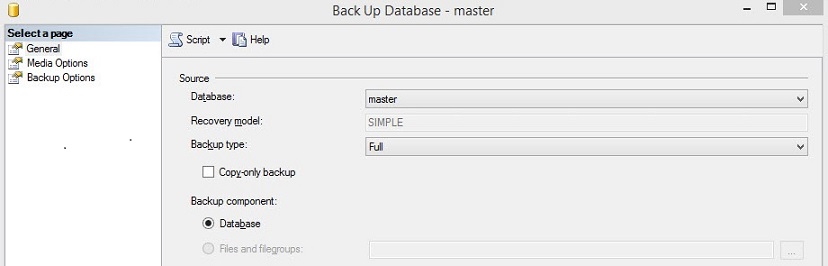 SQL Server Express Backup Type