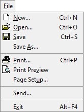 File Menu Options