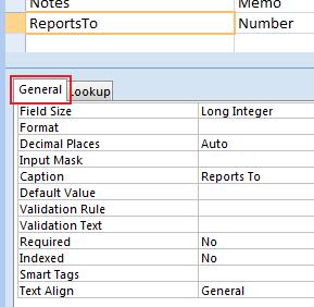 Microsoft Access Table Designer Field General tab