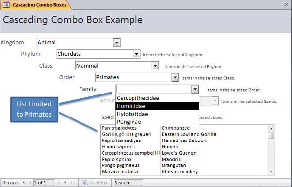 Microsoft Access Combo Boxes Top Six Tips and Techniques