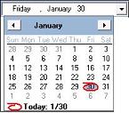 Date Picker with drop down calendar for date fields on Microsoft Access forms