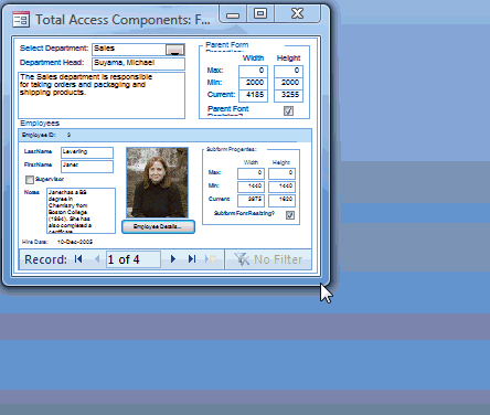 Microsoft Access Form Resizer