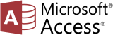 MS Access consulting services