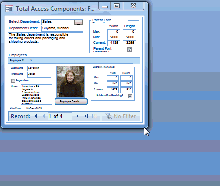 Microsoft Access form resizer Microsoft Access form resizer