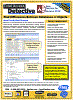 Total Access Detective Factsheet